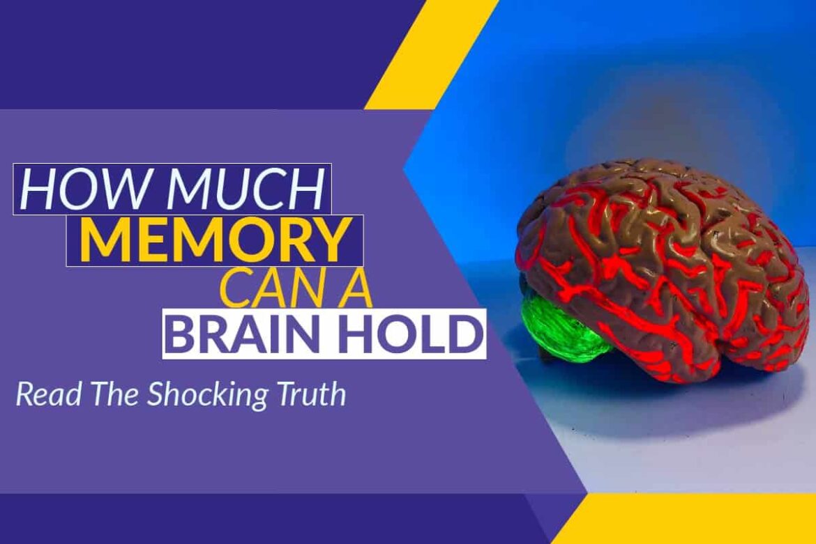 how-much-memory-can-a-brain-hold-read-the-shocking-truth