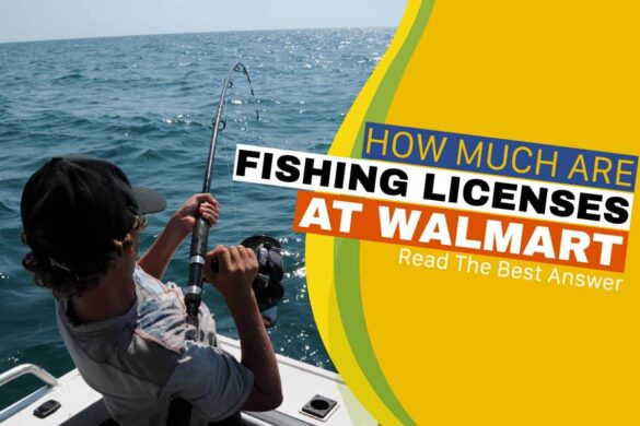 How Much Are Fishing Licenses At Walmart: Read The Best Answer