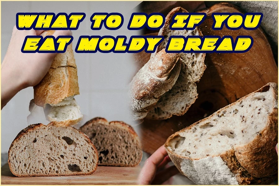 What To Do If You Eat Moldy Bread A Simple Guide To Help You Keep Healthy