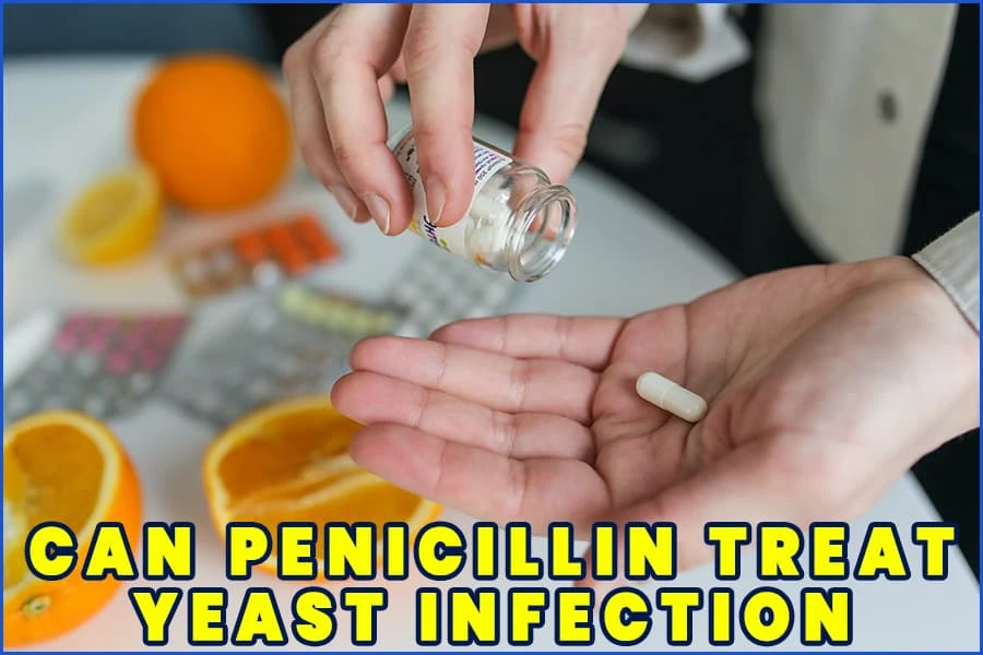 Can Penicillin Treat Yeast Infections The Mocracy